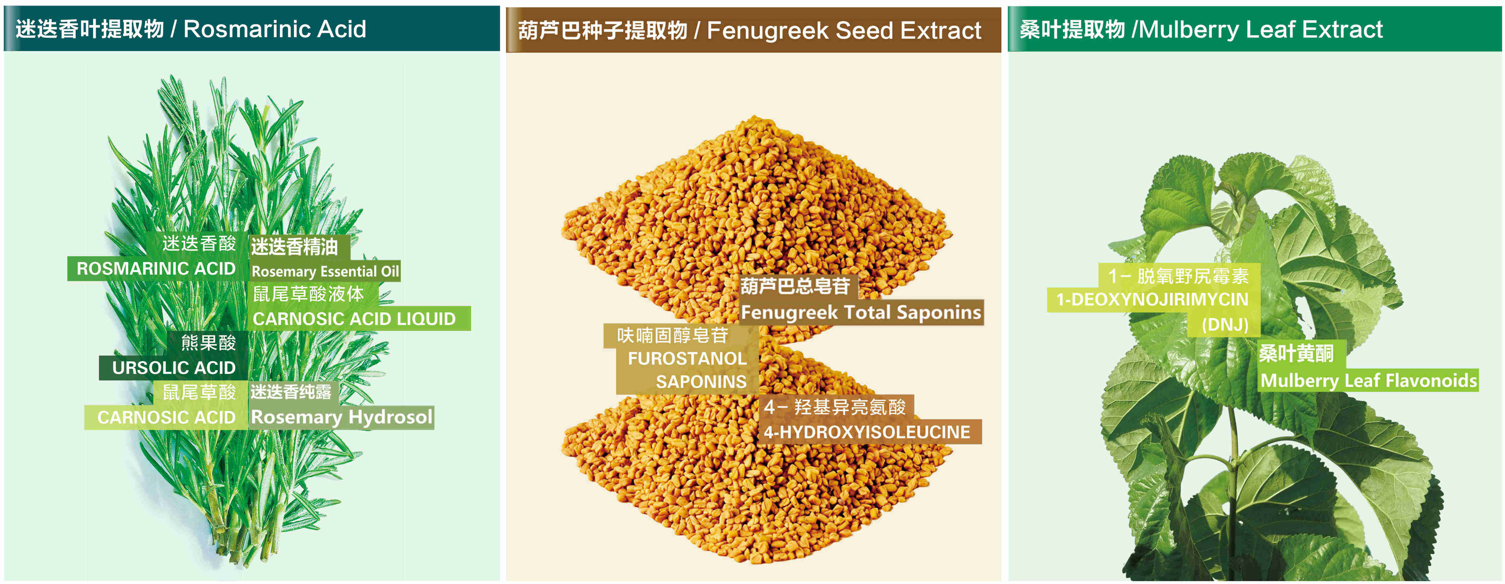 產(chǎn)品中心